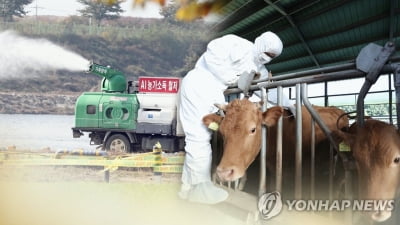 "조류인플루엔자·구제역 막자"…전북 가축전염병 특별방역
