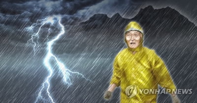 충남 천안·아산·홍성 호우주의보 발효…예산은 유지