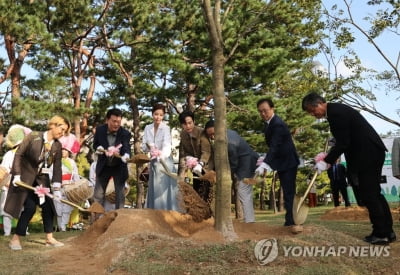 부산국제영화제 '영화의 숲' 행사…김한민 감독·김규리 참석