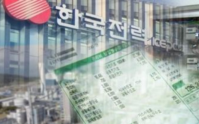 '역대 최대 적자' 한전 법카사용 백태…한우·오마카세에 펑펑