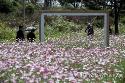 전북 흐리고 쌀쌀…낮 최고 17∼20도