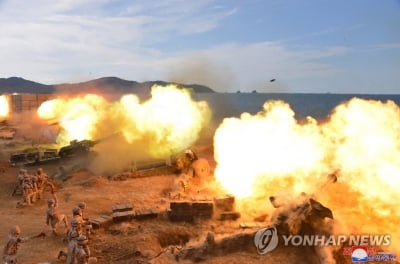 "北, 전술핵운용부대 훈련은 실전배치·억제력 과시 의도"