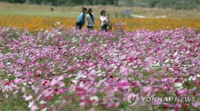 [날씨] 추위 물러가고 청명한 하늘…일교차 주의