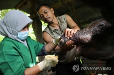 생물다양성 보전 넘어 회복으로…제주 IUCN 리더스 포럼 개최