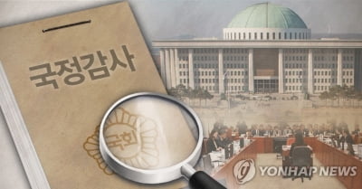 행안위 20일 광주 국감…복합쇼핑몰·붕괴사고 쟁점 예상