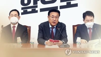 與 차기 전대 3월? 4월?…당권주자들 셈법도 복잡