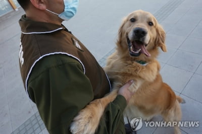 "동물, 사물 아니다" 칠레, 민법개정 급물살