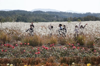 [내일 날씨] 중부지방 오후부터 맑음…큰 일교차 주의