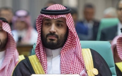 "돈 보따리 푼다"…사우디 왕세자 방한 소식에 관련주 '들썩'