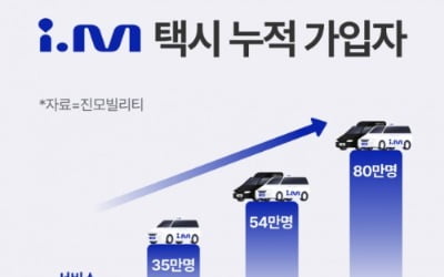 택시 대란에…진모빌리티, 월매출 역대 최고 기록