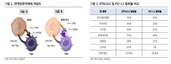 “에스티큐브, 면역관문억제제 기업으로 부상할 것”