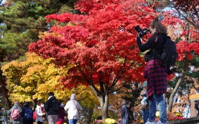 [포토] 단풍으로 물든 남산