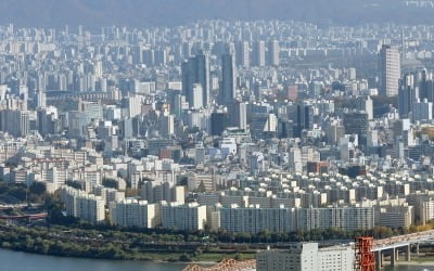 '강남' 아닌 '○○ 불패'…아파트 10건 중 3건 신고가 찍었다