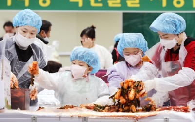  평창 고랭지 김장 축제