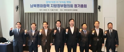 최대호 안양시장, '남북평화협력 지방정부협의회' 회장 연임