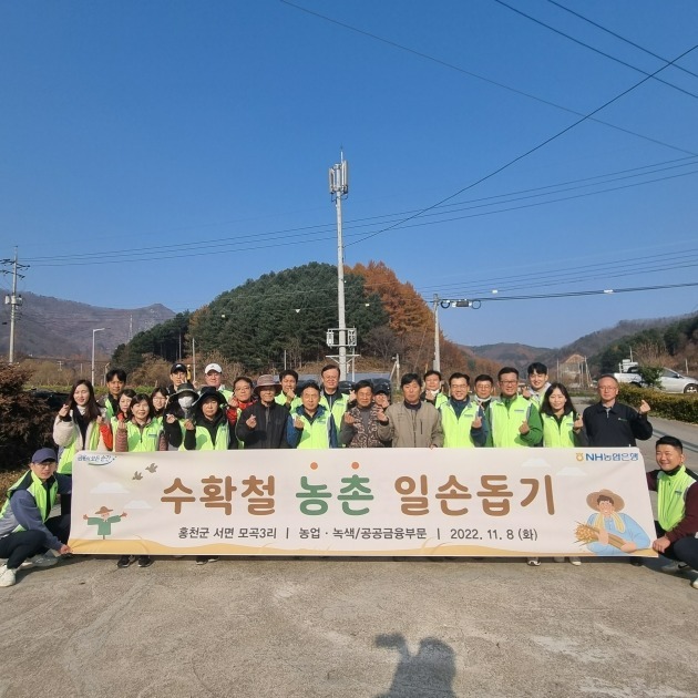 농협은행 공공금융부문, 수확철 농촌 일손돕기