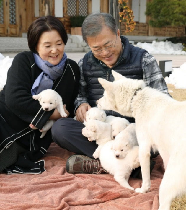 청와대 제공