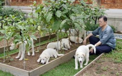 '풍산개 논란'에 동물단체 발칵…홍준표 "文, 돈도 많이 받으면서"