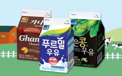 "가나초코우유 살아났다"…푸르밀, 사업 종료 '전격 철회'