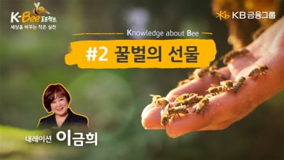 KB금융, '농업인의 날' 맞아 '꿀벌의 선물' 영상 공개