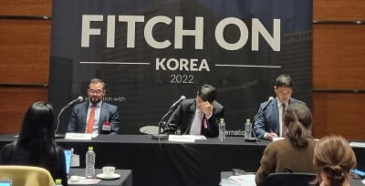 국제 신용평가사 피치 “하방 압력 커졌지만 한국 경제 기초체력 우수”