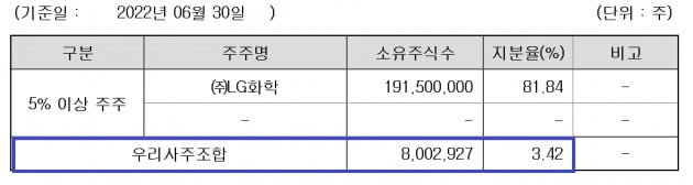 LG에너지솔루션 주식소유 현황. 사진=금융감독원 전자공시