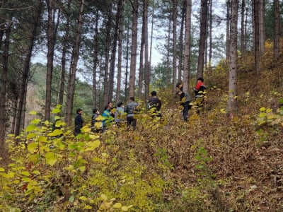 올해 숲가꾸기 최우수 사업지에 북부지방산림청 인제국유림관리소 선정