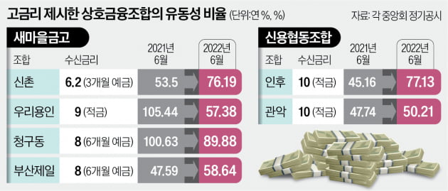 신협·새마을금고 '高금리 예금' 주의보