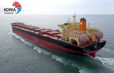 현대삼호重 'LNG 이중연료 추진 살물선' 세계일류상품 선정 