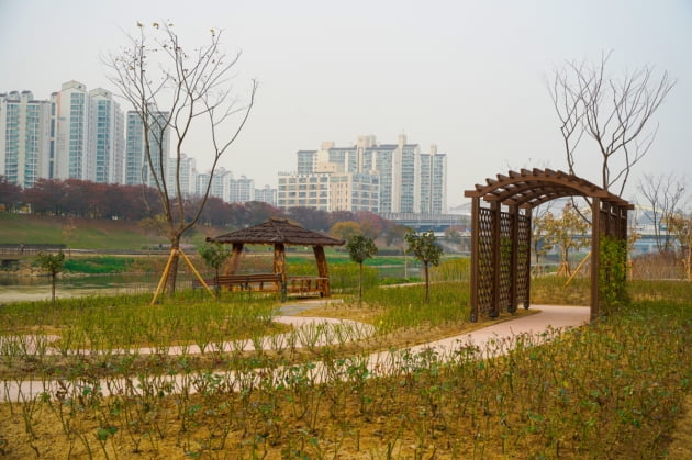 "꽃이 흐르는 쉼터"…구로구, 안양천에 생태초화원 조성