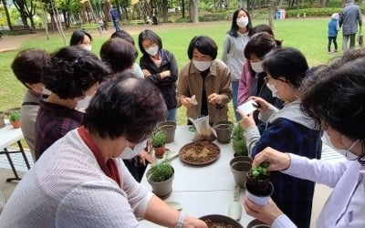 양천구, '반려식물 특별구' 향한 동행 프로젝트 운영