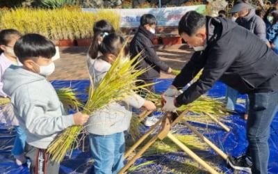 모내기부터 수확까지…학교 텃논에서 1년 벼농사 체험