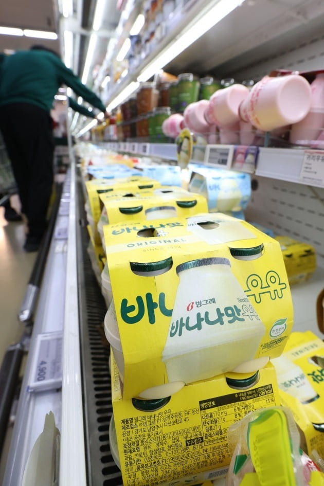 원유 가격 인상으로 우유 가격이 줄줄이 인상되면서 ‘밀크플레이션’ 우려가 높아지고 있다. 바나나맛 우유 가격도 곧 오른다. 사진=연합뉴스