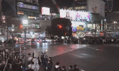 [영상] 2002년 한국처럼…日시민들, 독일 꺾자 거리로 쏟아져나왔다