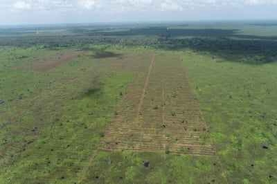 산림청, 인도네시아 이탄지 복원사업 공적개발원조 우수사례 선정