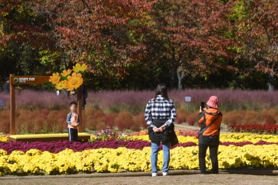 [포토] 나들이 나가기 좋은 날씨