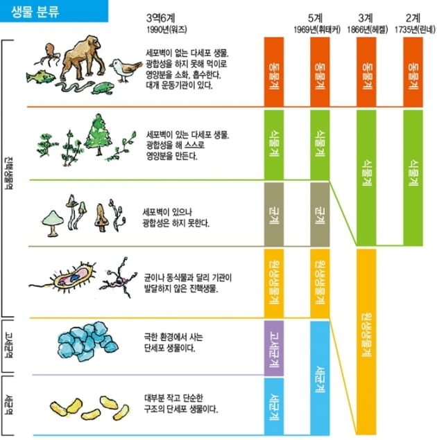 이미지출처 seouland