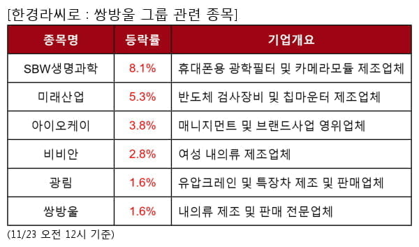 SBW생명과학,미래산업,아이오케이,비비안,광림,쌍방울