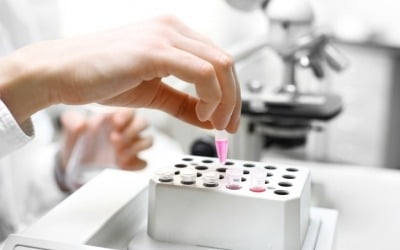 엔젠바이오, 사우디아라비아에 혈액암 정밀진단 제품 공급
