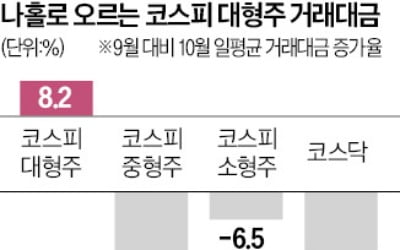 대형주로 쏠린 외국인…거래대금 나홀로 반등