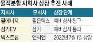 '쪼개기 상장' 자회사 주식 배당…모회사 주주 보호효과는 '글쎄'