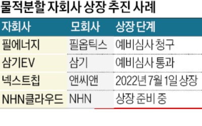 '쪼개기 상장' 자회사 주식 배당…모회사 주주 보호효과는 '글쎄'