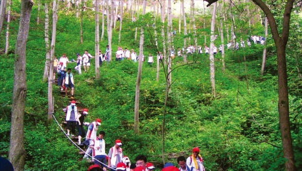SK임업은 한국 최초로 50여년간 인등산 등 전국에 4500㏊ 규모의 산림을 조성, 운영하고 있다. SK임업 제공 