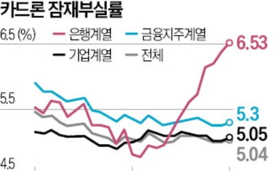 30일 이상 연체 대출자 급증…카드대출 부실 위험 커지나