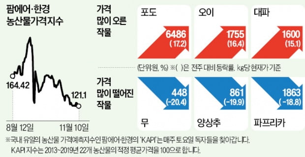 양배추값 1년새 82%↑…작황 부진에 출하량 뚝