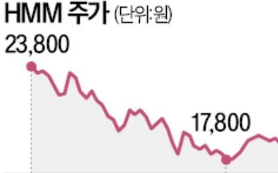 현금성자산 16조인데…HMM 시총 고작 10조?