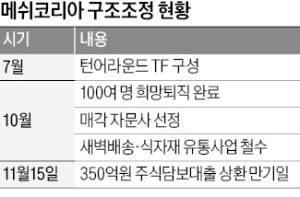 채무상환 만기 코앞…메쉬코리아 구조조정 '속도'