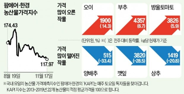 역대급 호남 가뭄에 양파·대파값 '불안'