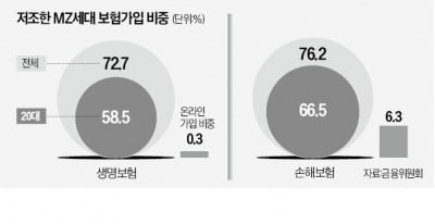 생보사, 여행자·운전자 보험도 취급한다