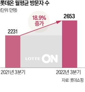 "e커머스 재건"…20년 만에 돌아온 '원조 롯데맨' 나영호